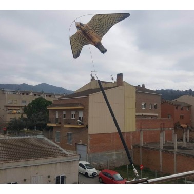 Épouvantail Faucon pour Balcon | BirdGard Iberia