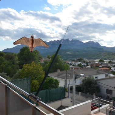 Épouvantail Faucon pour Balcon | BirdGard Iberia
