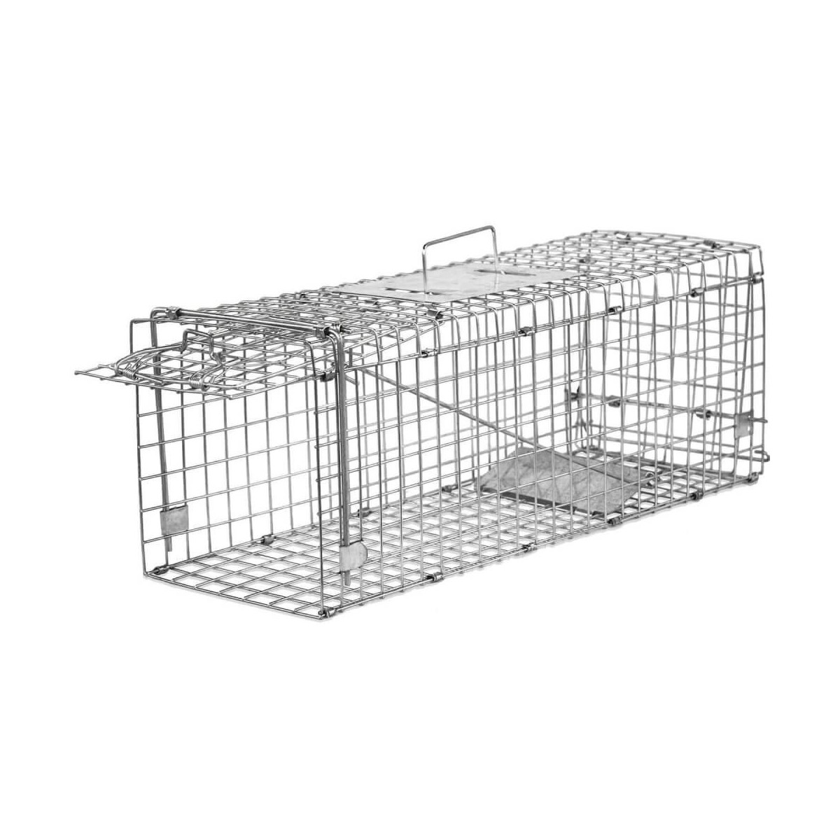 Piège Pliable - Capture d'Animaux | BirdGard Iberia