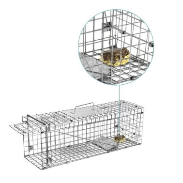 Piège Pliable - Capture d'Animaux | BirdGard Iberia