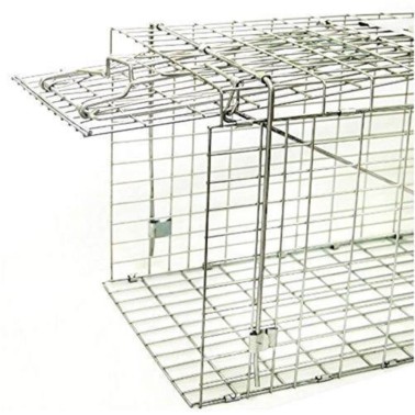 Piège Pliable - Capture d'Animaux | BirdGard Iberia