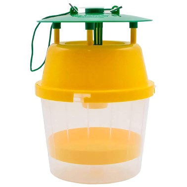 Piège pour Frelon Asiatique VELUTINATRAP® – Capture Efficace du Frelon Asiatique