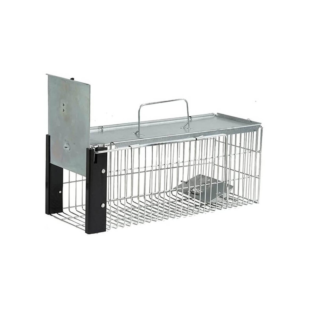 Piège à Rats - Sans danger pour l'animal | BirdGard Iberia