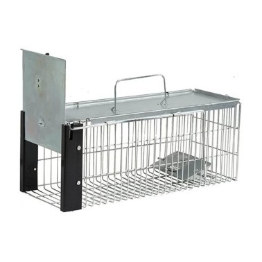 Piège à Rats - Sans danger pour l'animal | BirdGard Iberia