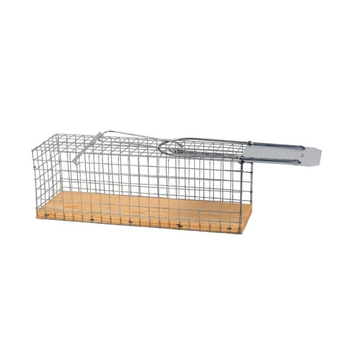 Piège à Souris | BirdGard Iberia