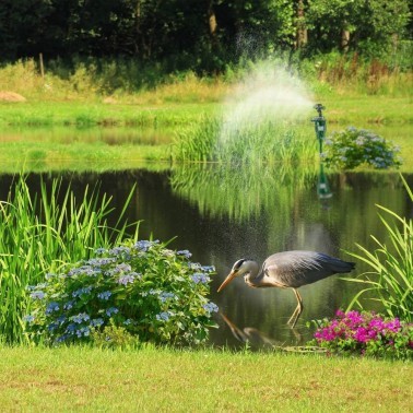 Répulsif à Jet d'eau pour Animaux - Détecteur de Mouvement et Panneau Solaire