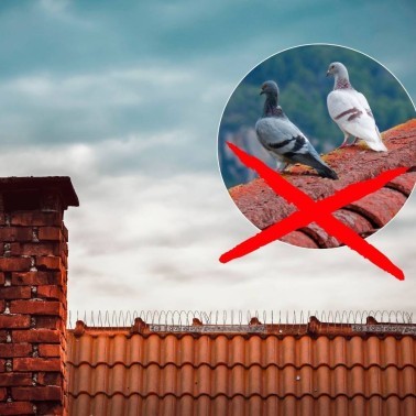 Spirale Anti-Pigeons - Empêche les Pigeons de se Poser