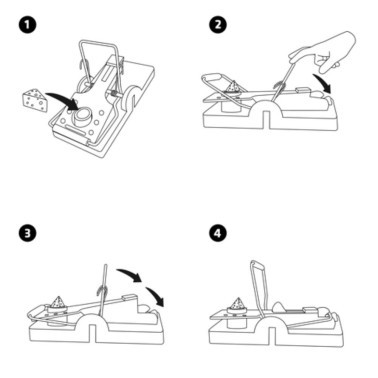 Pièges à Souris - Lot de 2 | BirdGard Iberia