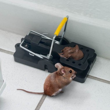 Pièges à Souris - Lot de 2 | BirdGard Iberia