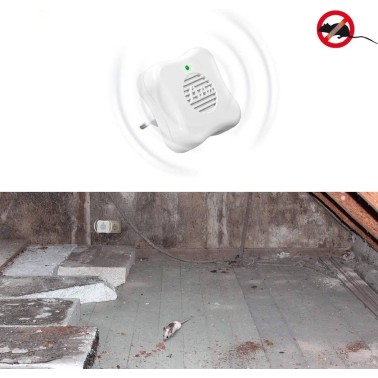 Prise Anti Souris : Solution Efficace et Sûre | BirdGard Iberia