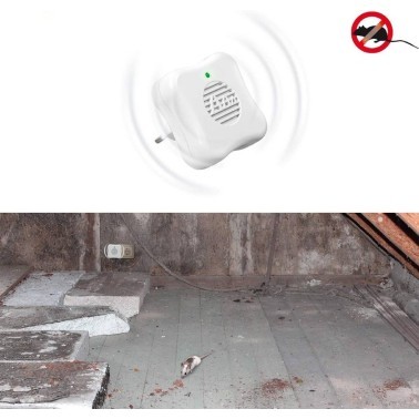 Prise Anti Souris : Solution Efficace et Sûre | BirdGard Iberia
