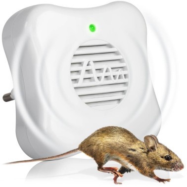 Prise Anti Souris : Solution Efficace et Sûre | BirdGard Iberia
