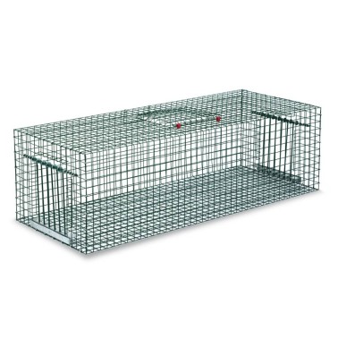 Piège à Pigeons - Rectangulaire| BirdGard Iberia
